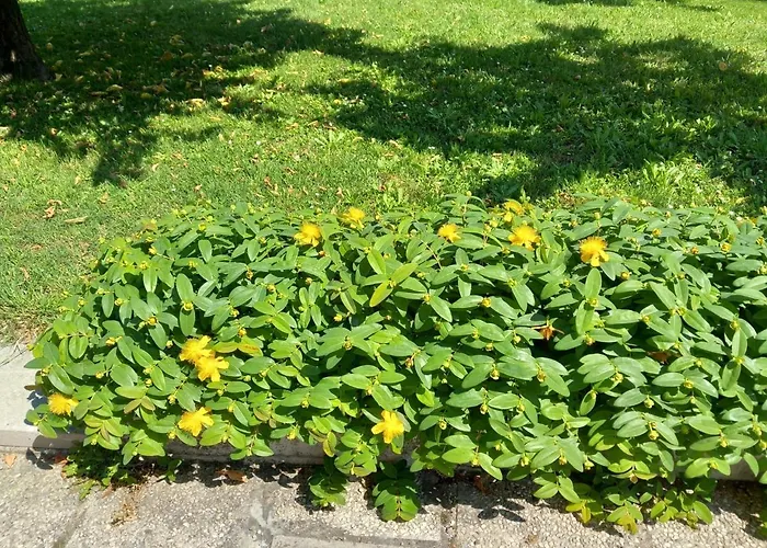 Frühstückspension Al Sit Ed Marino Castel Maggiore